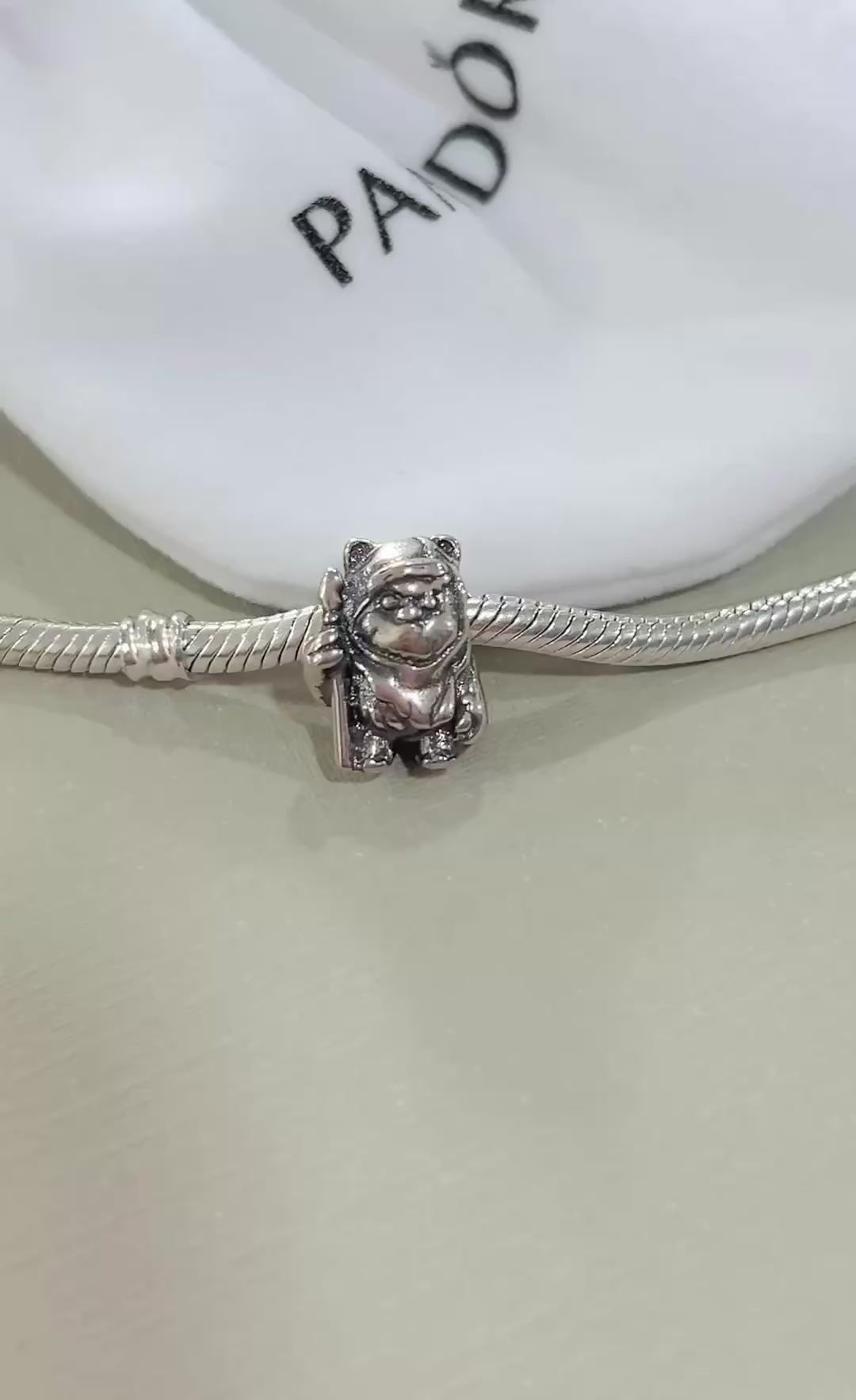 Charm de Plata