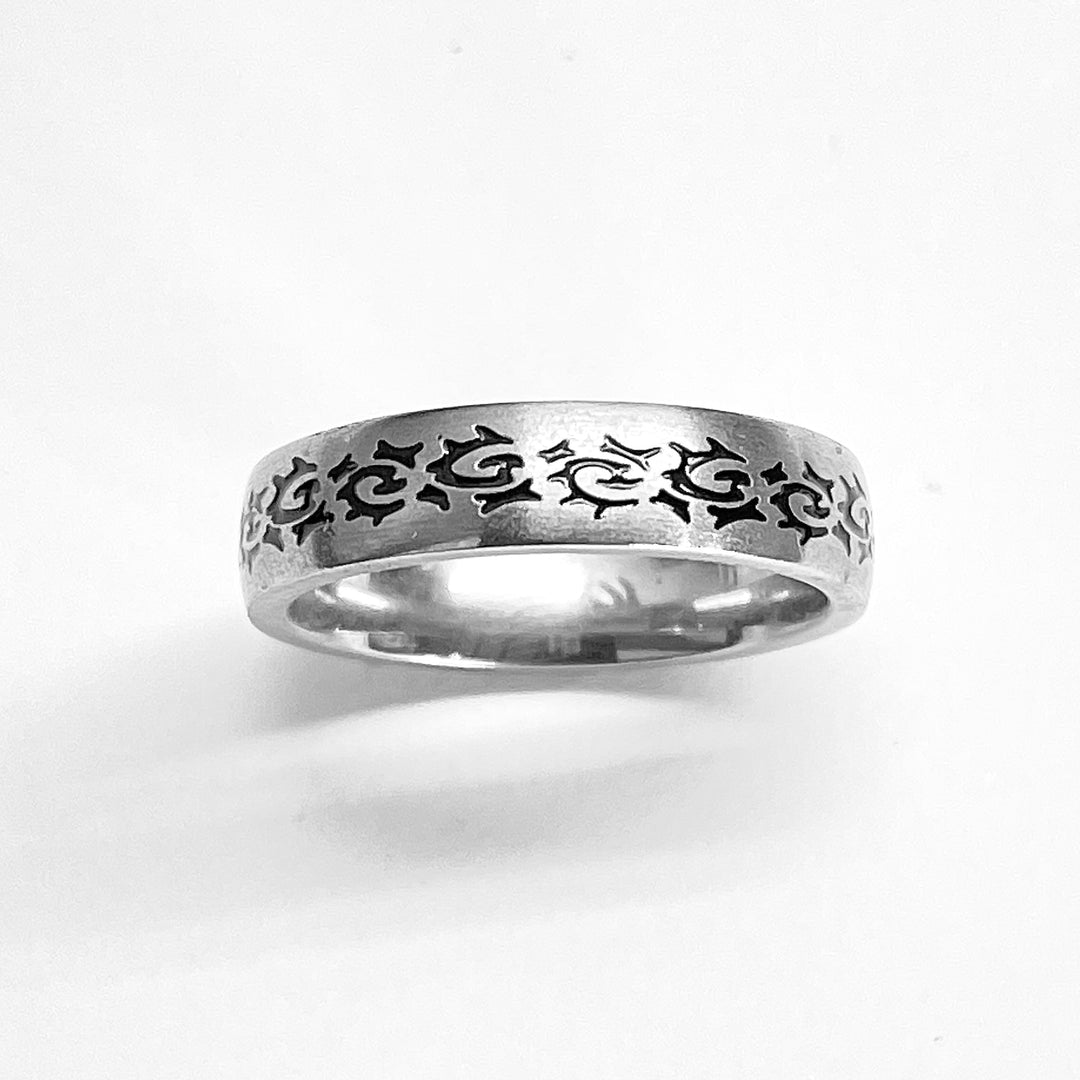 Anillo de Acero